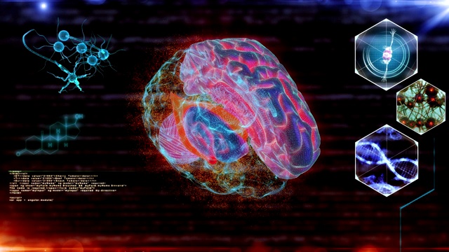 人脑神经元扫描视频下载