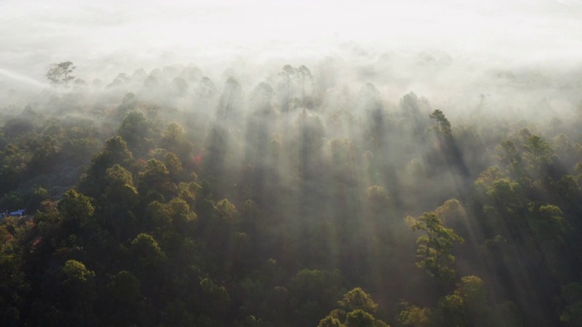 薄雾中的日出鸟瞰图视频素材