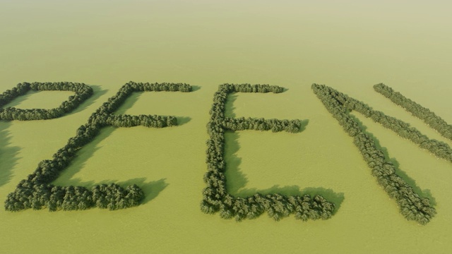 用树叶做成的绿色字母视频下载