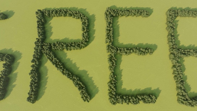 用树叶做成的绿色字母视频下载