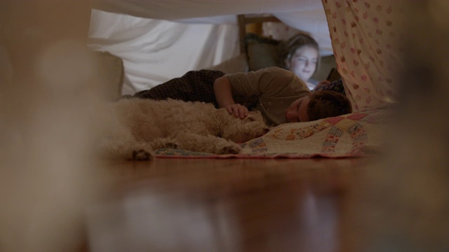 一个十几岁的男孩在枕头堡里抚摸他正在睡觉的狗。视频素材
