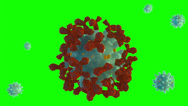抗体攻击绿屏上的病毒细胞视频素材