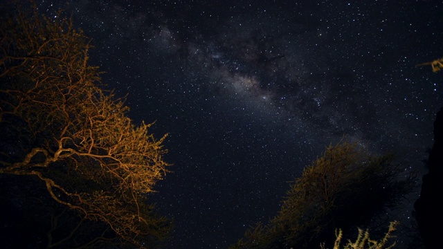 塞伦盖蒂平原上的延时星座在树木上移动视频下载
