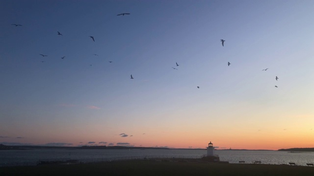 美国缅因州波特兰市的巴德灯塔，日出时天空中飞翔的海鸥视频下载