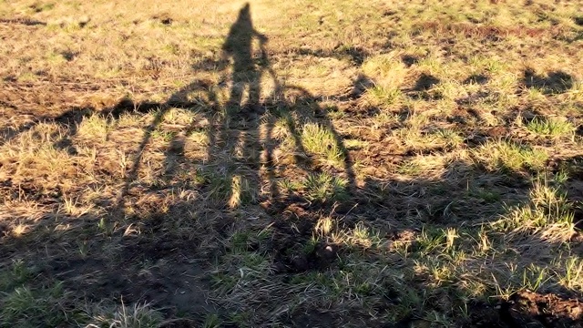 骑着自行车骑着绿荫春草户外，健康自由活动视频素材