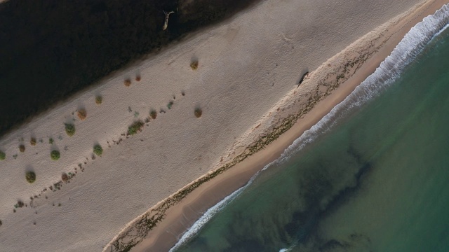 野生海滩和绿松石绿色的大海视频下载