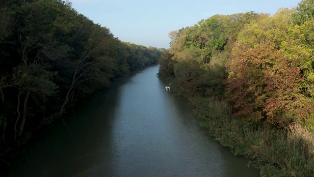 河流被茂密的绿色森林包围着视频下载