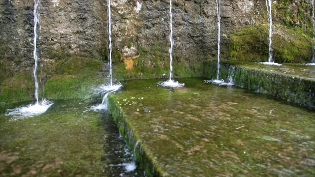 水珠从带有喷口的水源中喷出的水，被水生植物和因湿度而生长的绿苔所包围视频下载