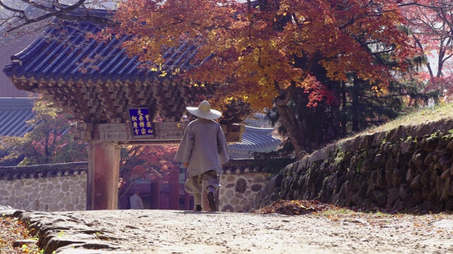 韩国全罗南道顺天寺松光寺和尚行走视频素材