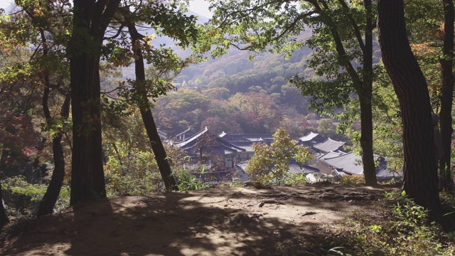韩国全罗南道顺天溪松光沙寺两名僧人行走视频素材