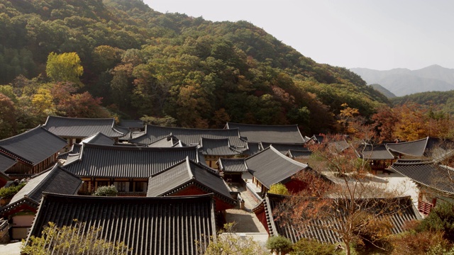 韩国全罗南道顺天溪松光沙寺的秋景视频素材