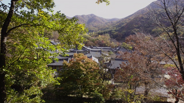 韩国全罗南道顺天溪松光沙寺的秋景视频素材
