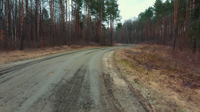 我在森林里的一条土路上开车，飞奔到路边。早春时分，土路附近的落叶林里的珍稀树木。视频素材
