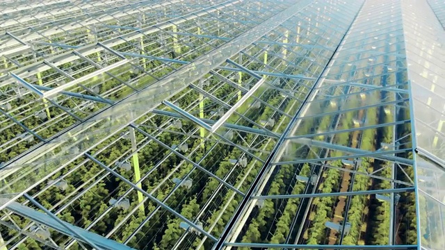 一个透明的绿化综合体内的植物俯视图视频素材