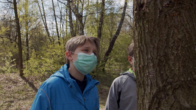 两个男孩在树皮上检查蚂蚁视频素材