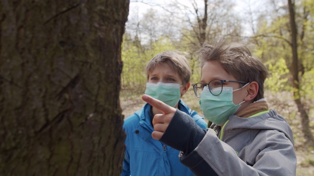 两个男孩在树皮上检查蚂蚁视频素材