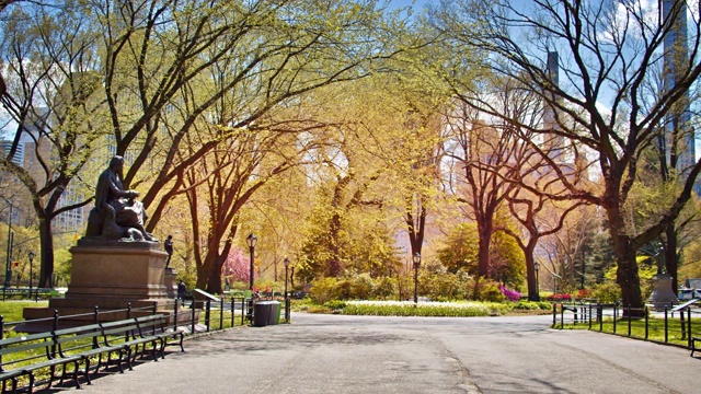 春天的文学漫步在中央公园。雕塑。视频下载