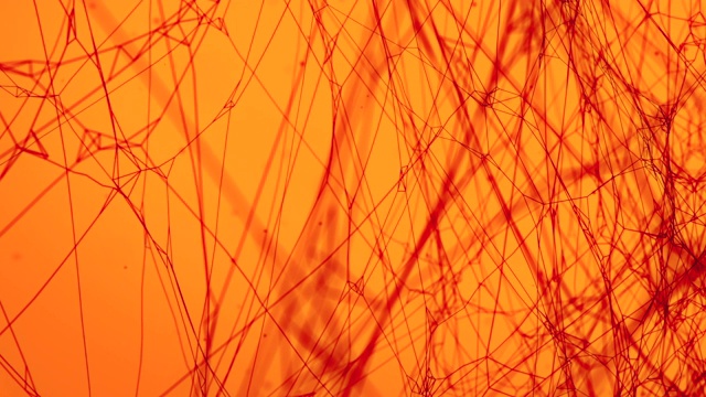 三维渲染蛛网数字动画在发光的橙色光背景。抽象的彩色神秘背景。3 d渲染。高清分辨率视频素材