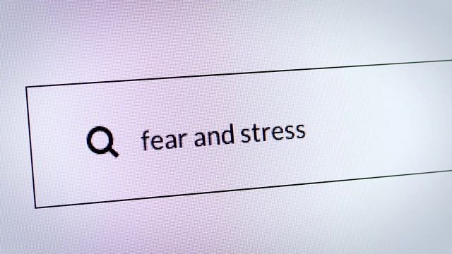 冠状病毒搜索引擎。在搜索栏里输入"恐惧和压力"视频下载
