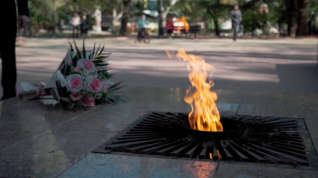 永恒的火焰在纪念碑附近慢镜头地燃烧着视频下载