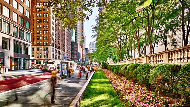 曼哈顿市中心布莱恩特公园的第五时尚大道。自然与城市景观相结合。赶着上班的纽约人。金融，公司大楼，银行，办公室。纽约,美国视频下载