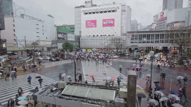 涩谷十字路口打着伞的人们和车流视频素材