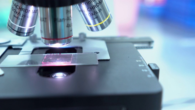 医学研究科学家在STEM现代实验室测试疫苗实验药物。视频下载