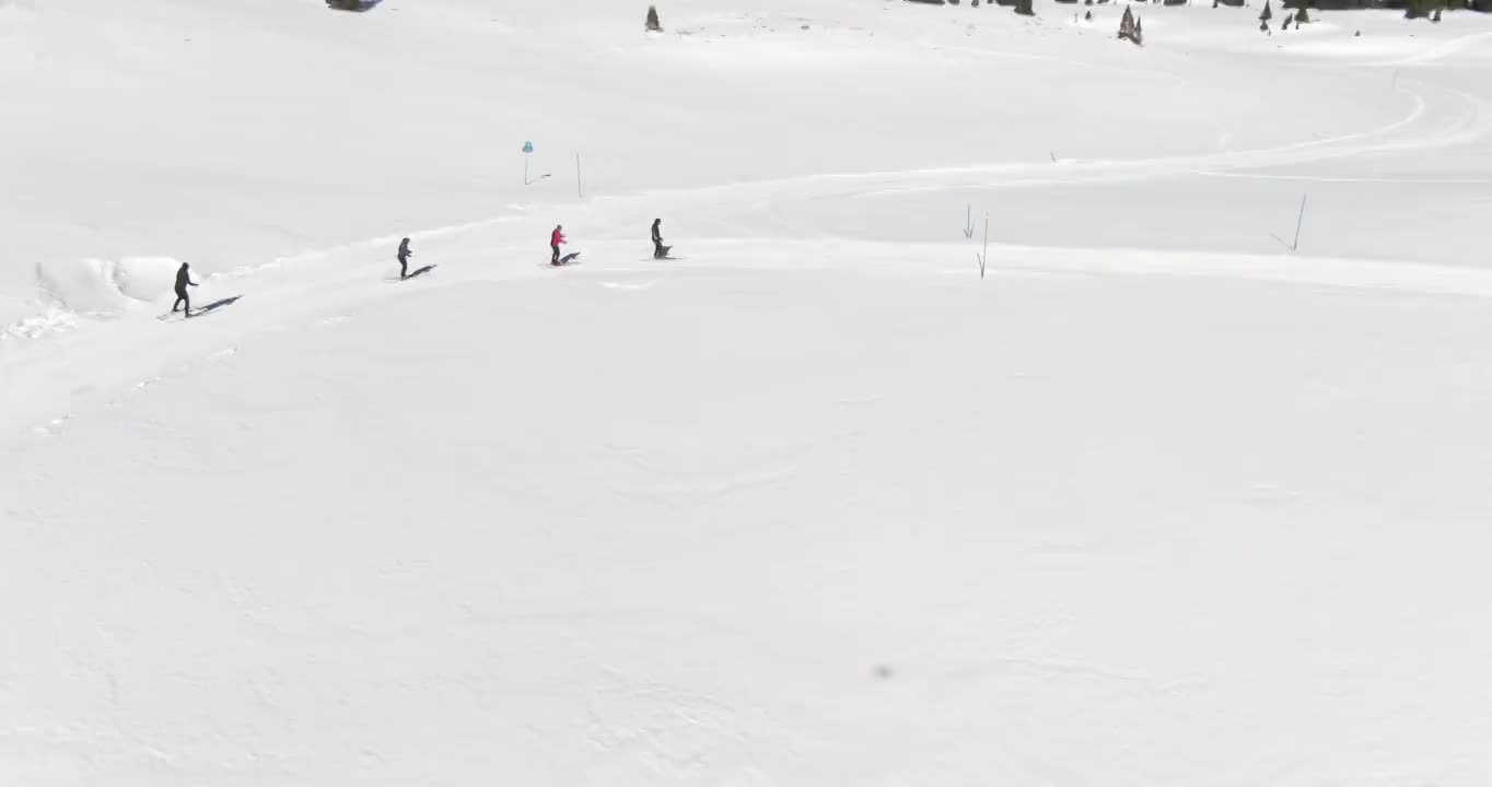 在一个阳光明媚的冬日，科罗拉多州，一组四名成年人在雪道上越野滑雪视频素材