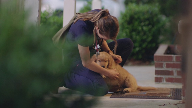护士回到家，看到一只快乐的小狗。视频下载