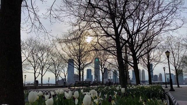 纽约空荡荡的公园视频素材