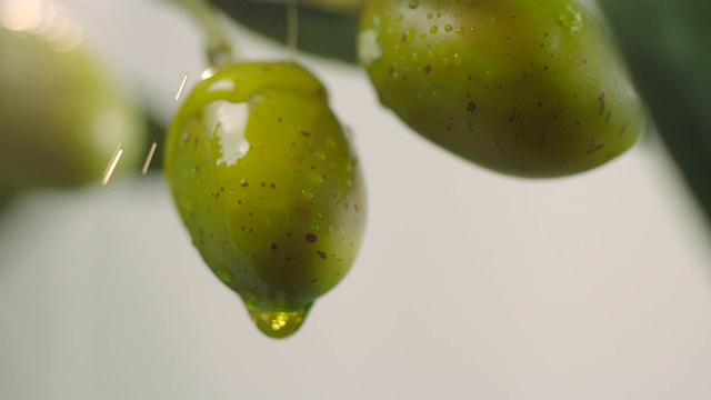 滴在生绿橄榄上的橄榄油。视频素材
