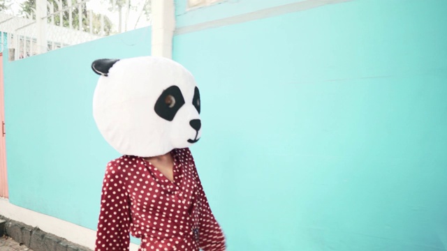 熊猫走在街上视频素材