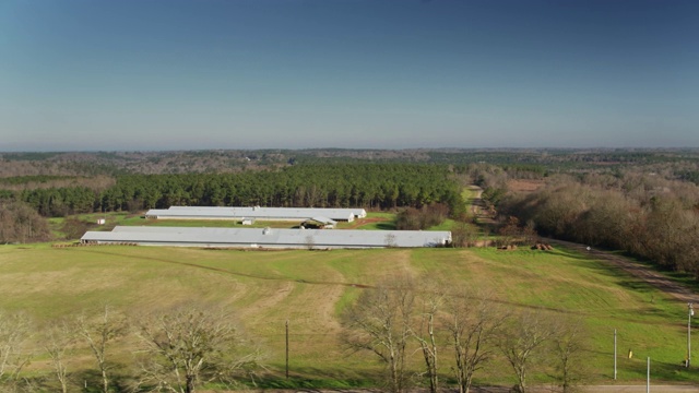 阿拉巴马州森林边缘的农场-无人机拍摄视频下载