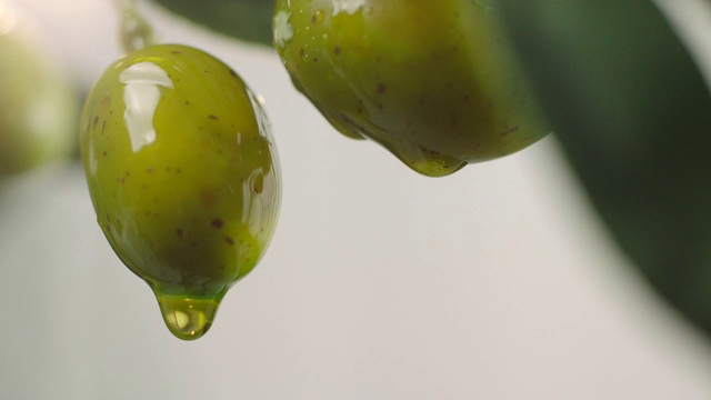 滴在生绿橄榄上的橄榄油。视频素材