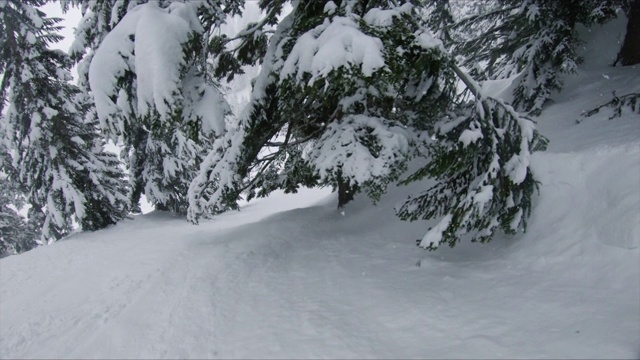 电影慢动作滑雪板雕刻下的树枝隧道视频下载