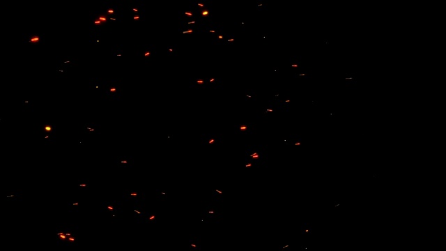 真实的飞火火花孤立的黑色背景。明亮的动态尘埃颗粒在缓慢的运动。数字三维动画。视频素材
