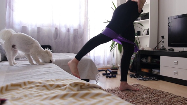 可爱的马耳他狗在床上放松，而女人在家里与阻力带锻炼视频素材