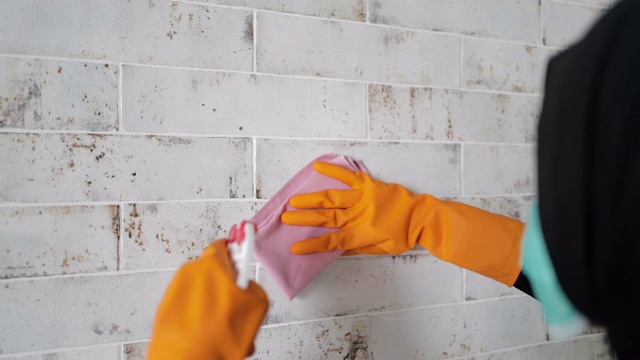 消毒瓷砖墙视频素材