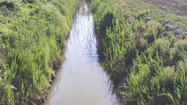 意大利农村用于灌溉的排水沟视频下载