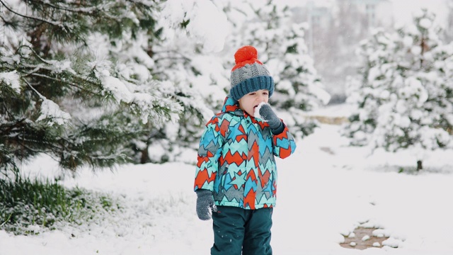 小男孩在雪里玩视频素材