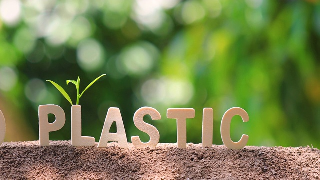 "No Plastic"这个字是木制的。视频下载