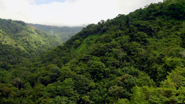 哥斯达黎加的AVs雨林视频下载