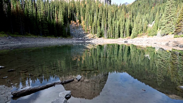 加拿大班夫国家公园的镜湖与松树林中的山倒影在池塘上视频下载