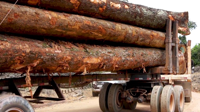 亚马逊雨林的森林砍伐-砍伐硬木木材视频下载