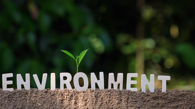 “环境”这个词是木制字母。视频下载