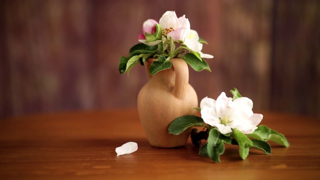 春天的粉红色苹果树花在一个粘土花瓶视频素材