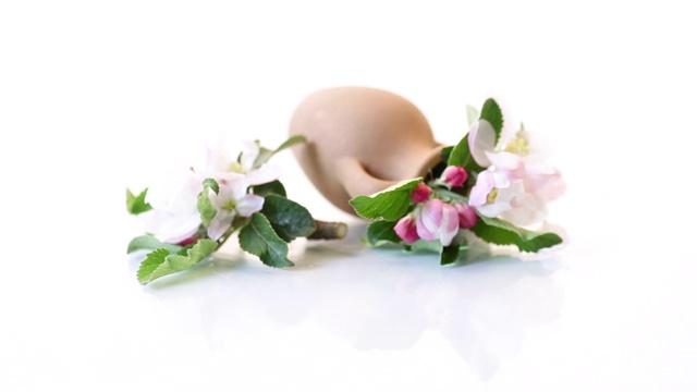 春天的粉红色苹果树花在一个粘土花瓶视频素材