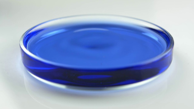 实验室中蓝色液体滴入玻璃培养皿视频下载