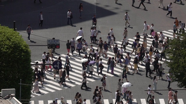 慢镜头鸟瞰图行人拥挤在涉谷日本东京视频素材