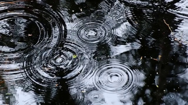 水滴滴落在水面上视频素材